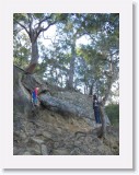 IMG_0280 * 360 x 480 * (76KB)